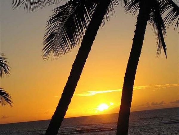 Northshore Oahu Home 950824