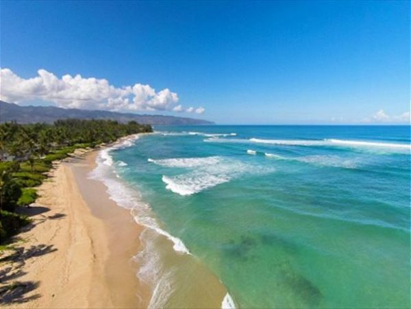 Honolulu Diamond Head Kahala Home 950830