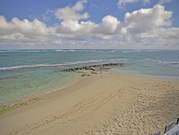 Northshore Oahu Home 950831