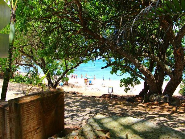Northshore Oahu Home 950832