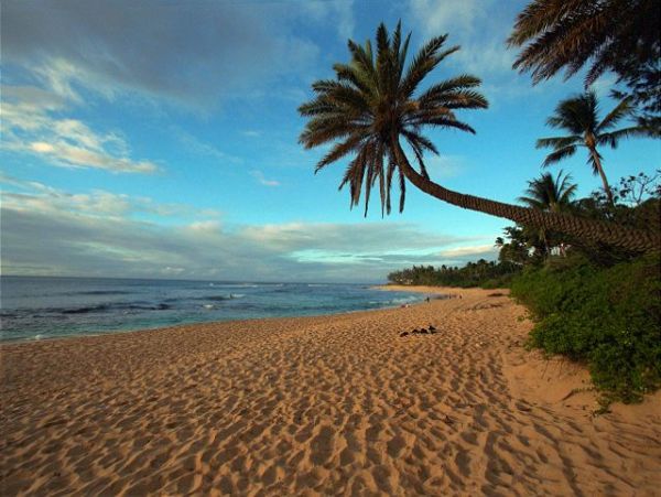 Northshore Oahu Home 950838
