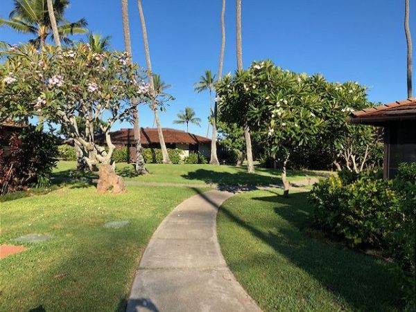 Northshore Oahu Home 950843
