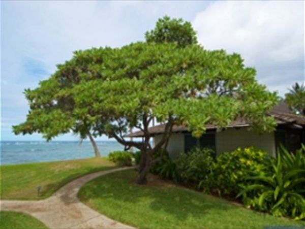 Northshore Oahu Home 950843
