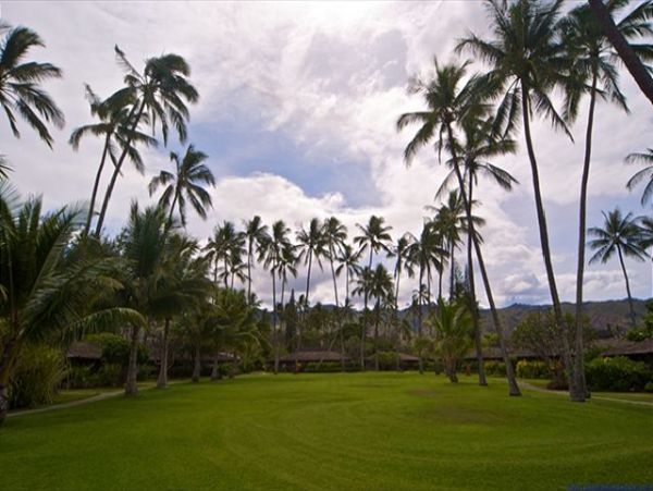 Northshore Oahu Home 950843
