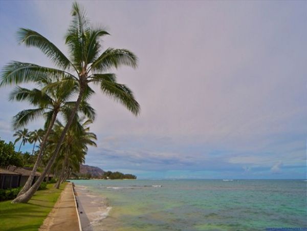 Northshore Oahu Home 950843