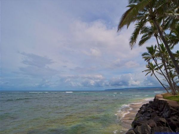 Northshore Oahu Home 950843