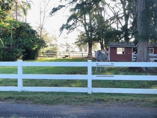 Northshore Oahu Home 950843