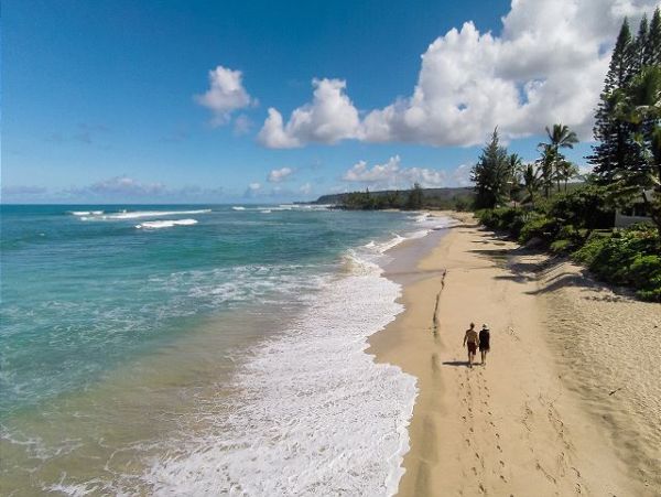 Northshore Oahu Home 950847