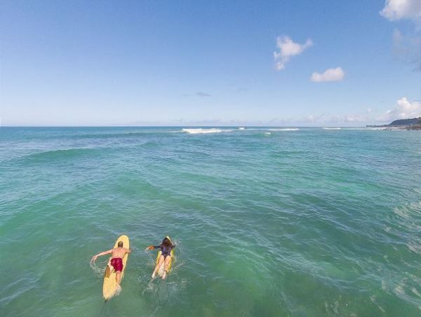 Northshore Oahu Home 950847
