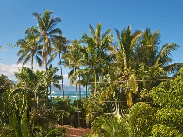 Northshore Oahu Home 950848