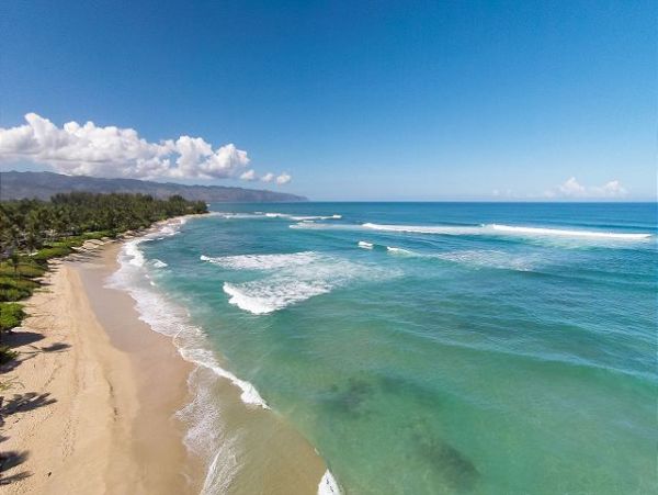 Northshore Oahu Home 950848