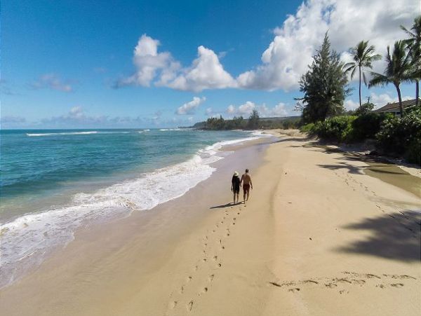 Northshore Oahu Home 950848