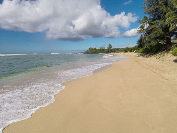 Northshore Oahu Home 950848