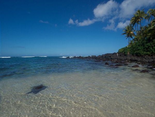 Northshore Oahu Home 950848