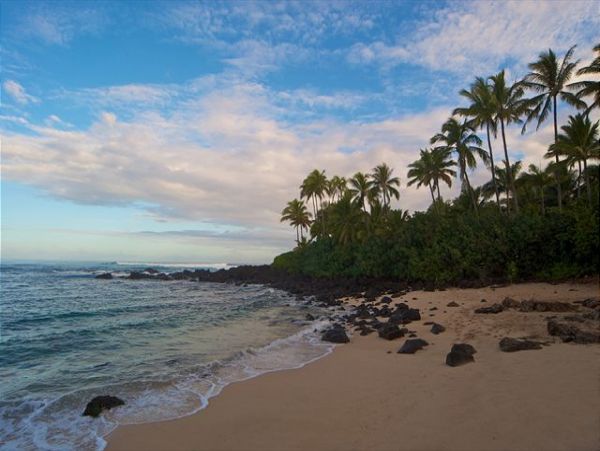 Northshore Oahu Home 950848