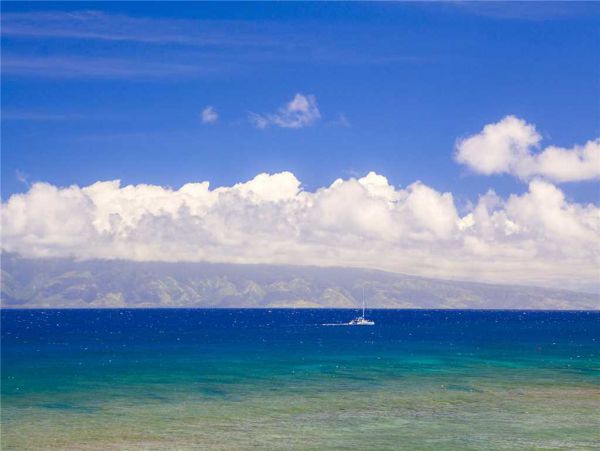 Kaanapali Condo 950852