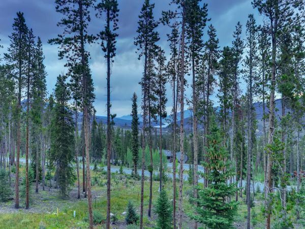 Breckenridge Home 950885