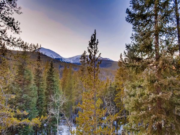 Breckenridge Home 950892