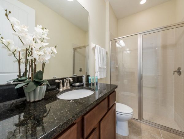 Orlando Home 950984