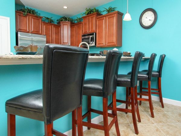 Orlando Home 951022