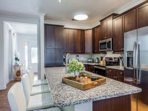Orlando Home 951042