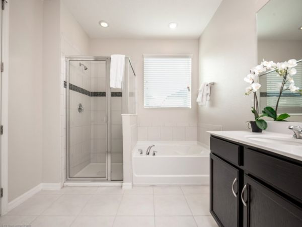 Orlando Home 951082
