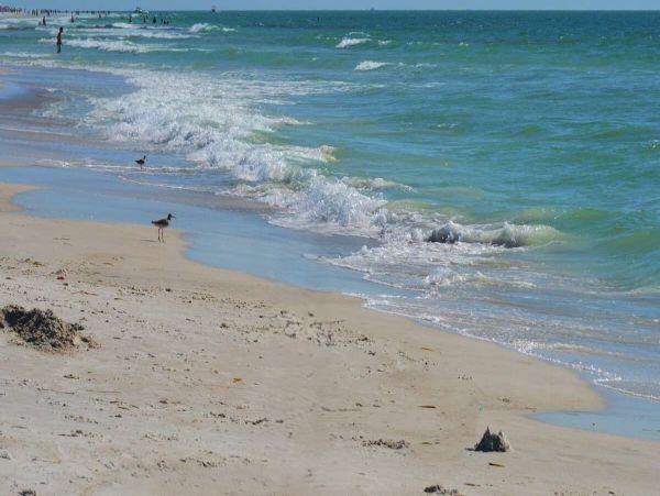 Beachfront Paradise on Anna Maria Island - Stunning Two-Bedroom Condo