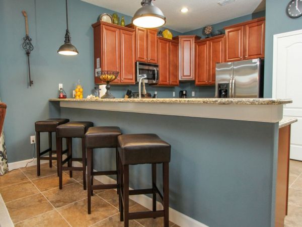 Orlando Home 951137