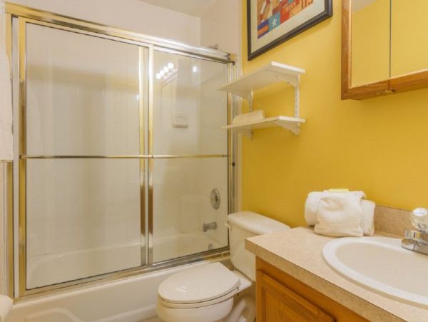 Orlando Home 951146