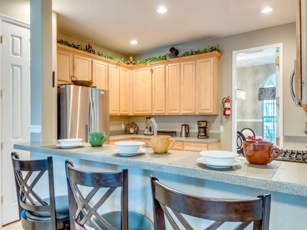 Orlando Home 951162