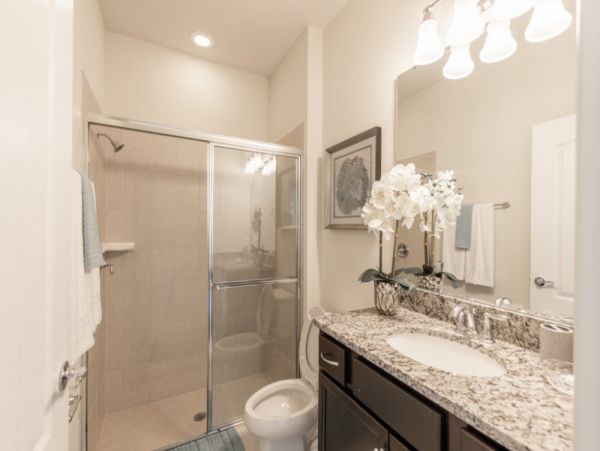 Orlando Home 951164