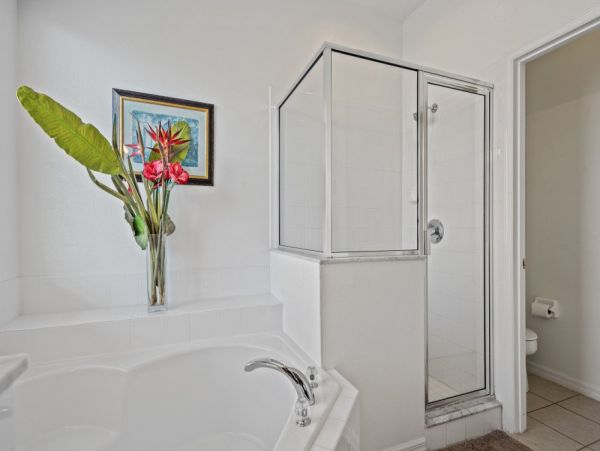 Orlando Home 951188