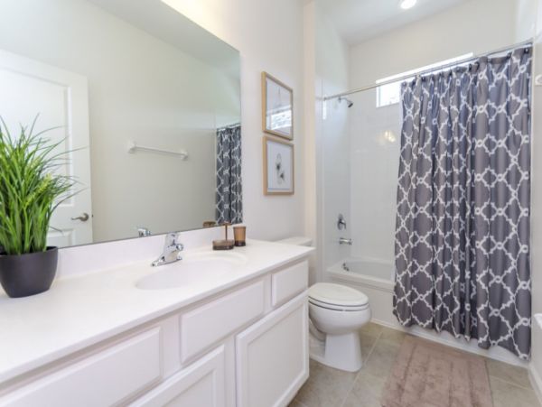 Orlando Home 951362