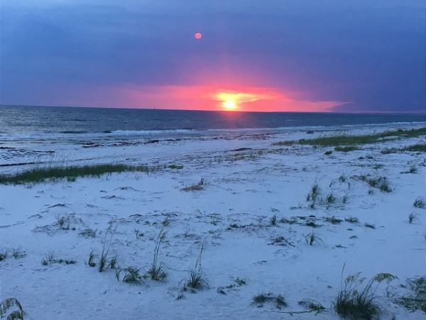 Mexico Beach Condo 951377