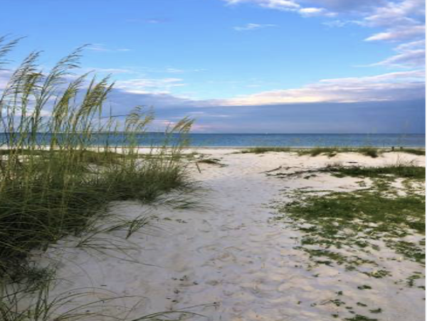 Mexico Beach Four Bedroom Vacation Home Full Ocean View