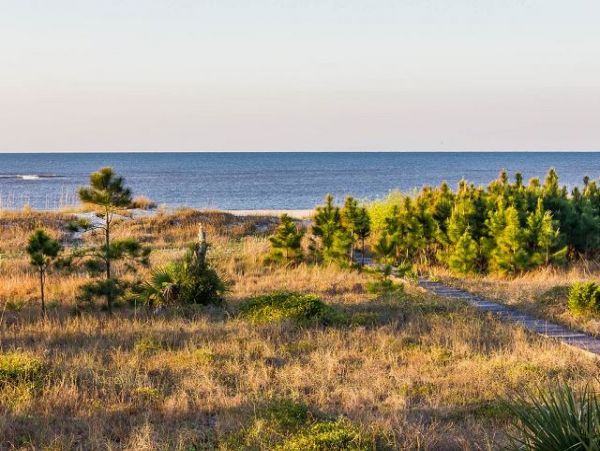 Mexico Beach Home 951389