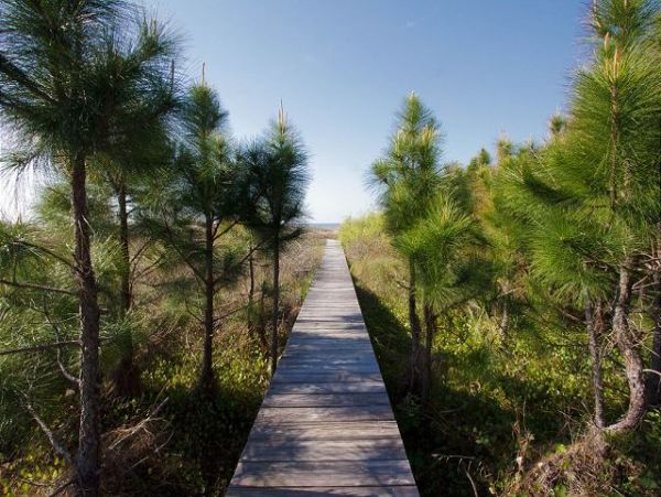 Mexico Beach Home 951389