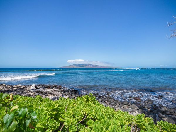 Luxury Oceanfront Lahaina Vacation Condo Sleeps 6 Guests
