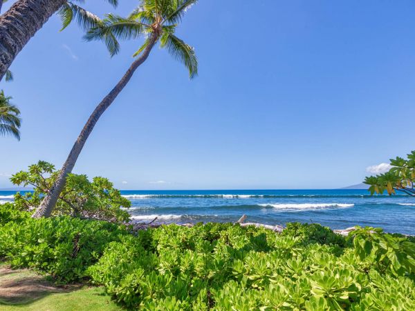 Luxury Oceanfront Lahaina Vacation Condo Sleeps 6 Guests