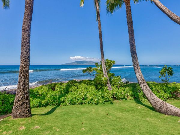 Luxury Oceanfront Lahaina Vacation Condo Sleeps 6 Guests