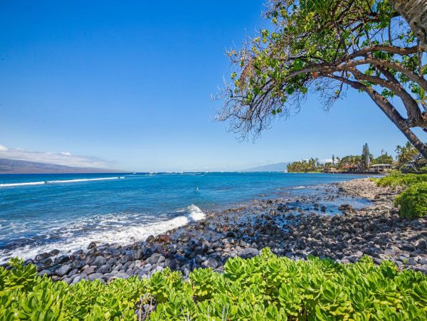Luxury Oceanfront Lahaina Vacation Condo Sleeps 6 Guests