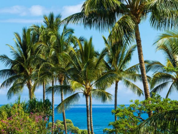 Partial Oceanviews Kailua-Kona Vacation Home Sleeps 4 Guests