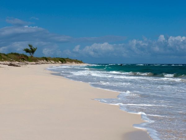 On Beach Bahamas Vacation Estate with Pool & Ocean Views