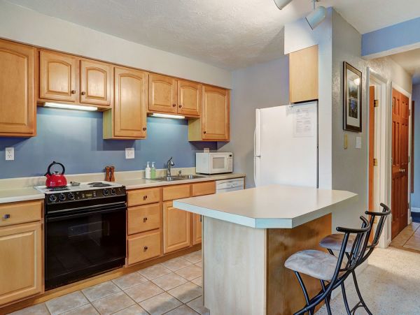 Breckenridge Condo 952197