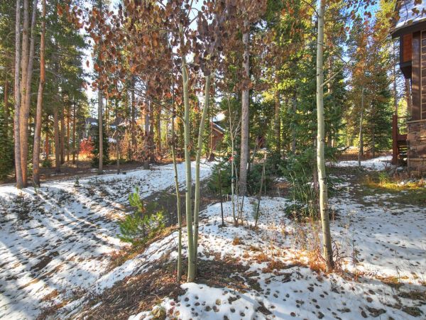 Breckenridge Home 952212