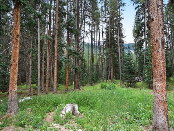 Breckenridge Home 952213