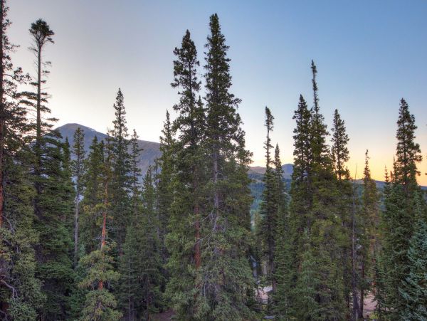 Breckenridge Home 952221