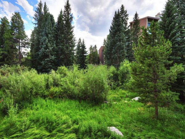 Breckenridge Condo 952225