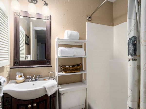 Steamboat Springs Condo 952382
