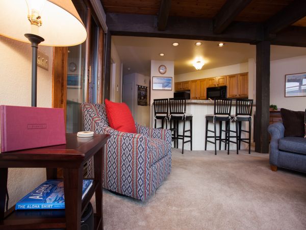 Steamboat Springs Condo 952417